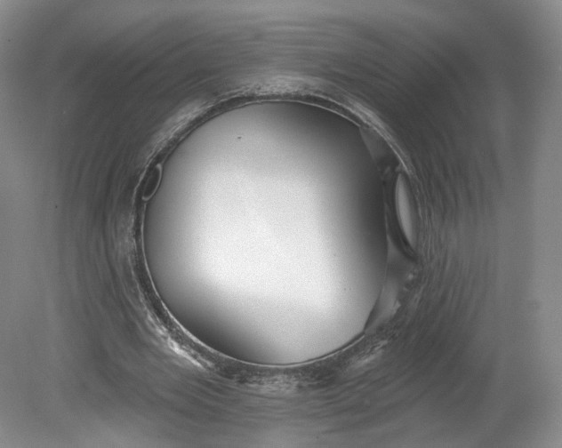 X0000078870485200611271305