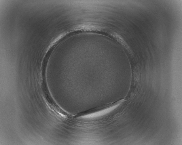 X0000078870488200611271305