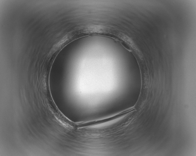 X0000078870489200611271305