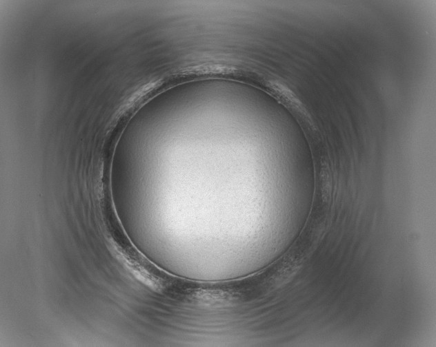 X0000078870490200611271305
