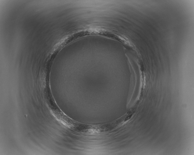 X0000078870496200611271304