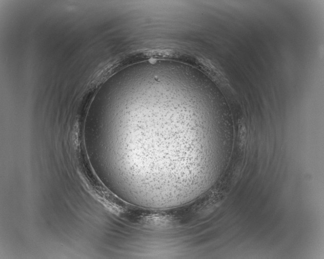X0000078870498200611271304