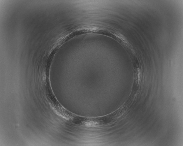 X0000078870500200611271304