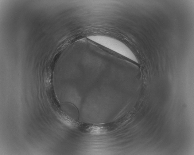 X0000078870507200611271304