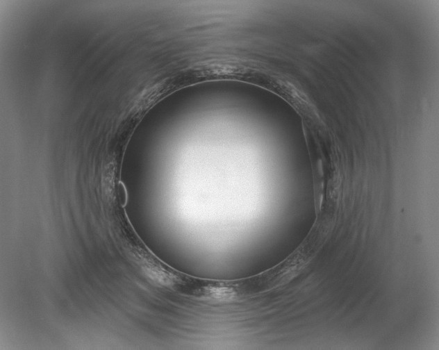 X0000078870509200611271304