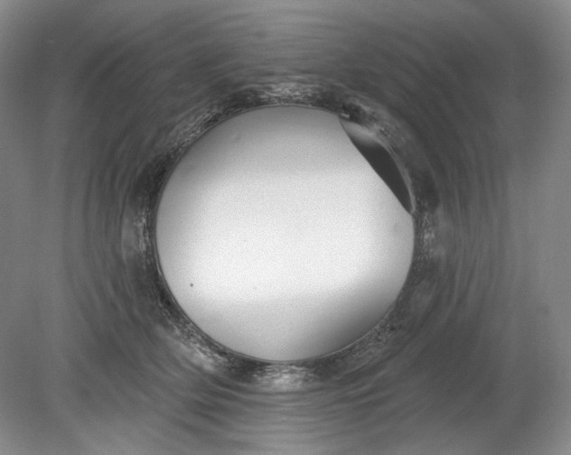 X0000078870514200611271304
