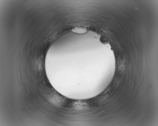 X0000078870515200611271304