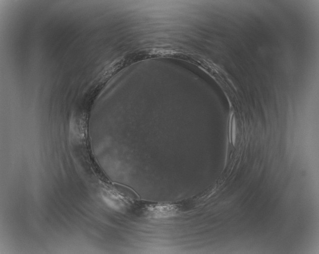 X0000078870517200611271304