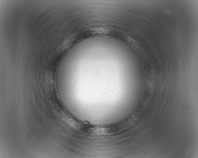 X0000078870518200611271304