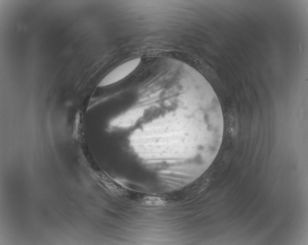 X0000078870519200611271304