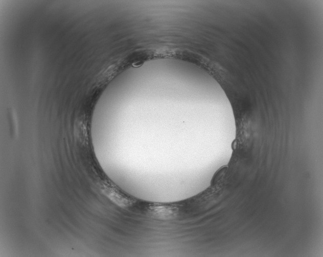 X0000078870522200611271304