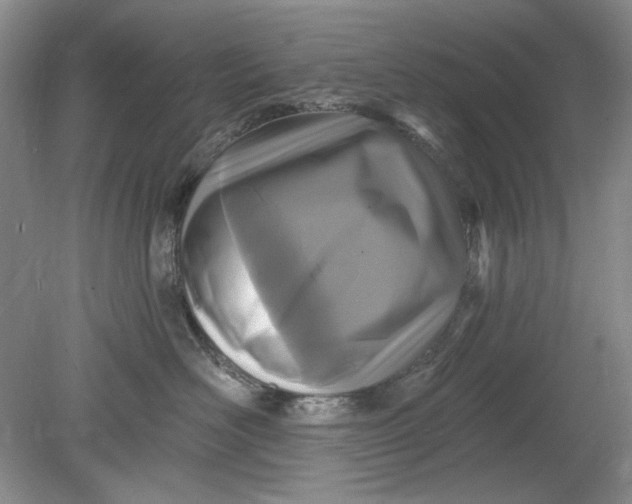 X0000078870526200611271304