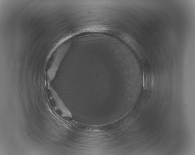 X0000078870531200611271303