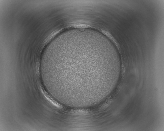 X0000078870533200611271303
