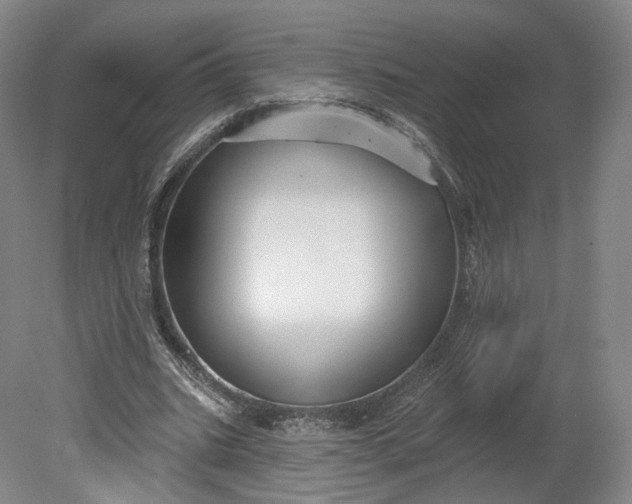 X0000078870535200611271303
