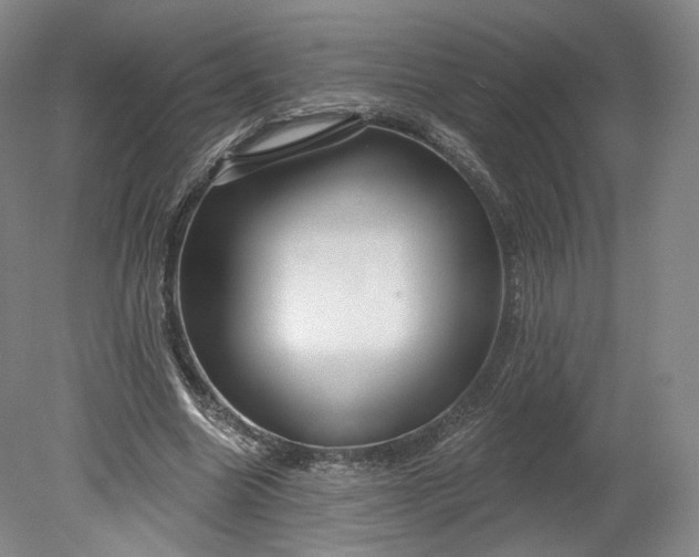 X0000078870538200611271303