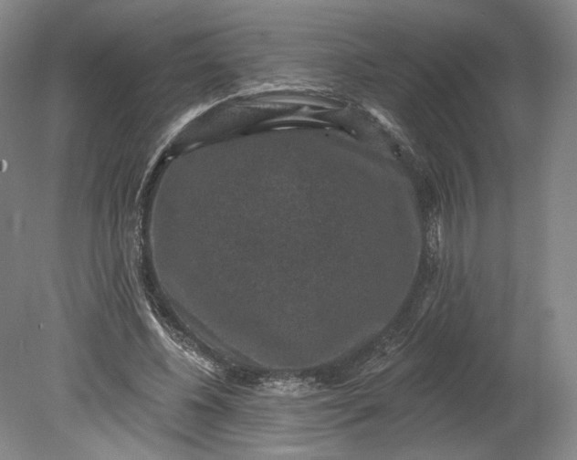 X0000078870540200611271303