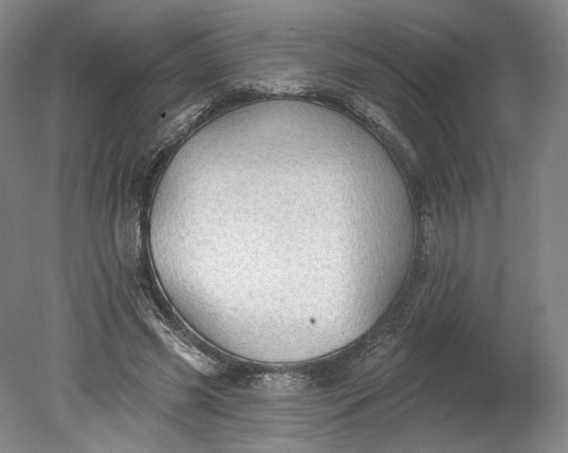X0000078870541200611271303