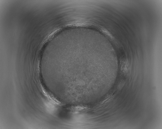 X0000078870542200611271303