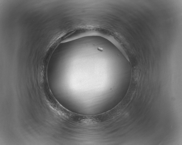 X0000078870544200611271303