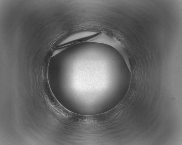 X0000078870546200611271303