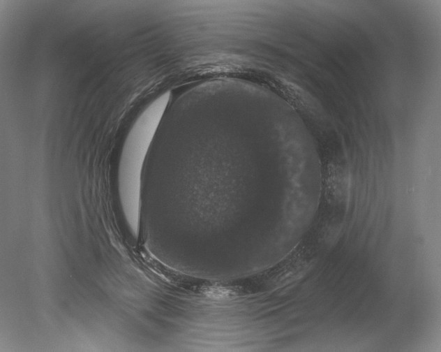 X0000078870547200611271303