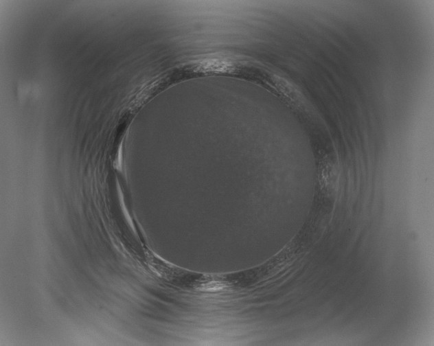 X0000078870551200611271303