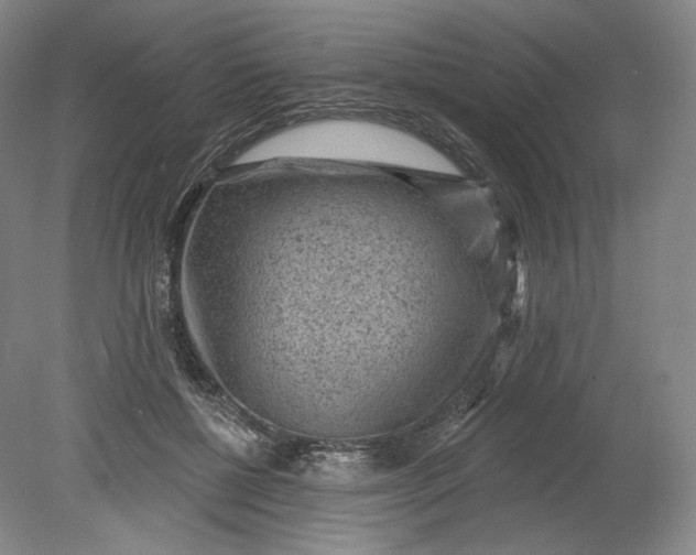 X0000078870552200611271303