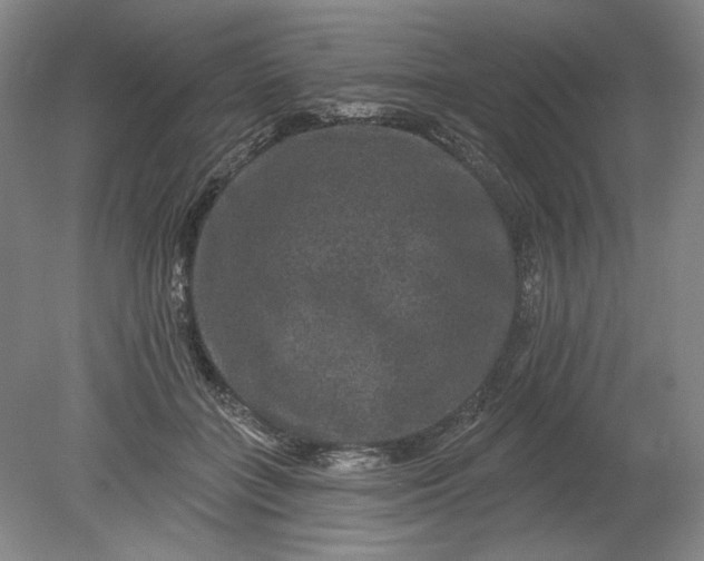 X0000078870555200611271304