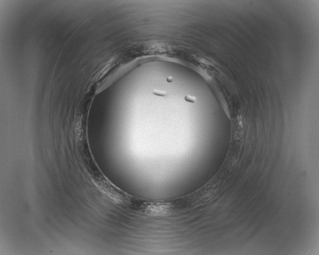 X0000078870560200611271304