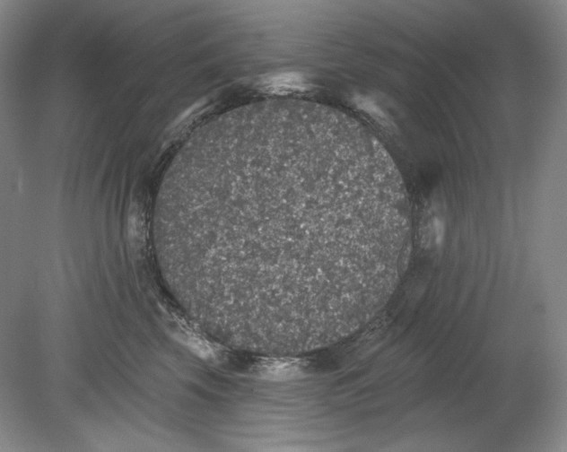 X0000078870569200611271304
