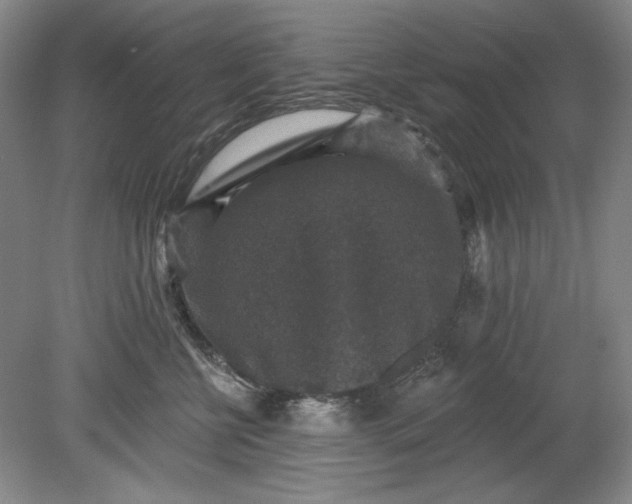 X0000078870570200611271304