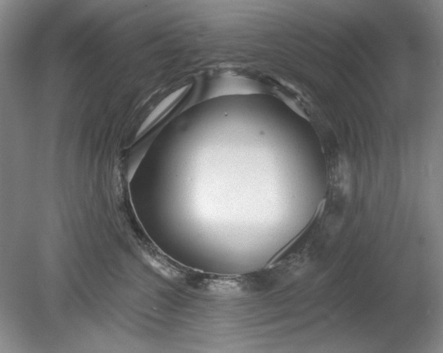 X0000078870572200611271304