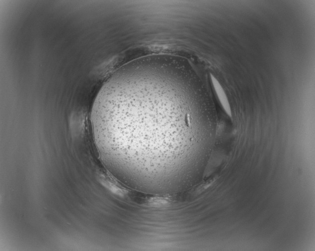 X0000078870574200611271304