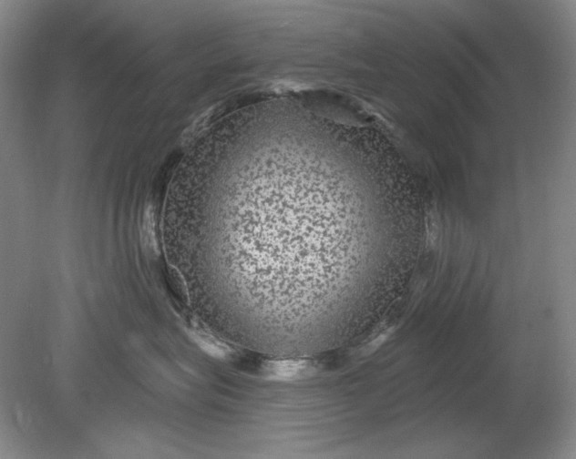 X0000078870575200611271304