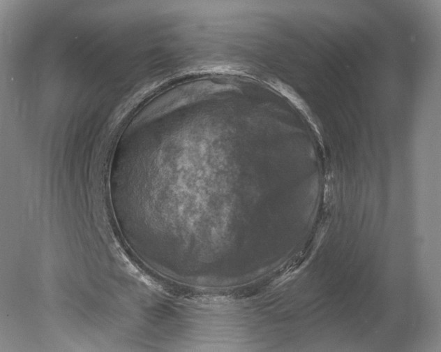 X0000078870577200611271303