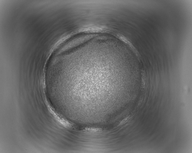 X0000078870582200611271303