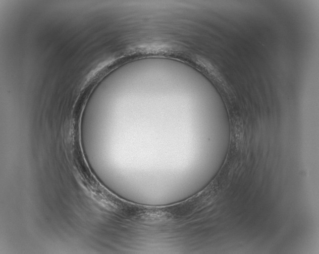 X0000078870583200611271303