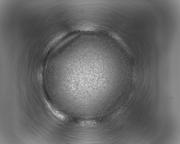 X0000078870586200611271303