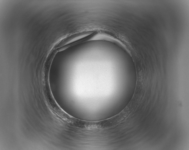 X0000078870587200611271303