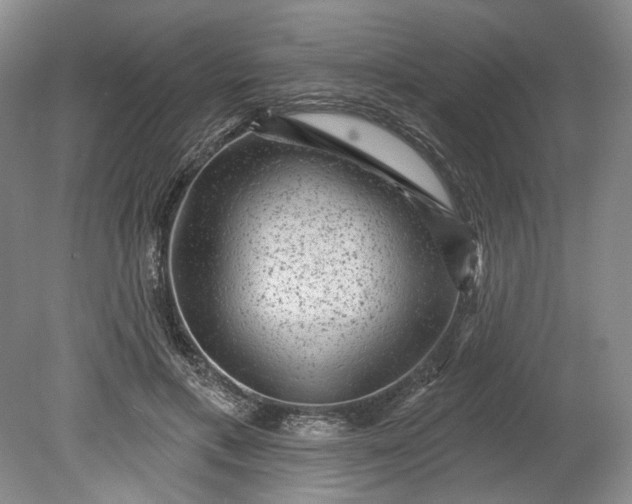 X0000078870597200611271303