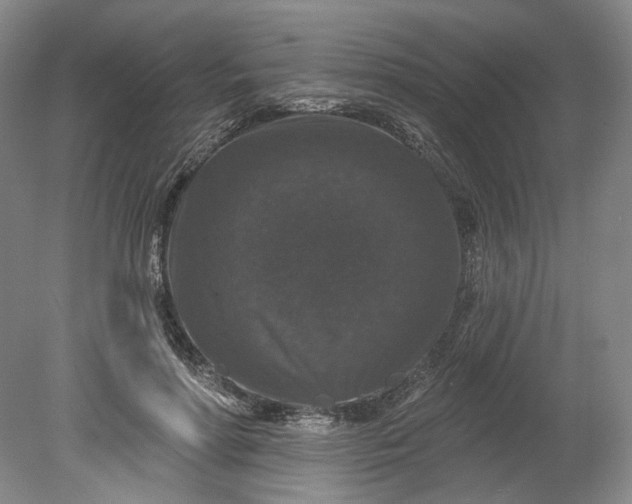 X0000078870598200611271303