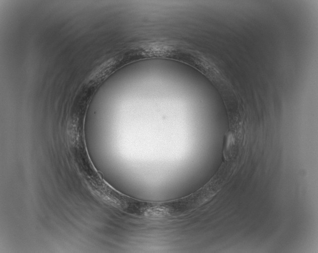 X0000078870599200611271303
