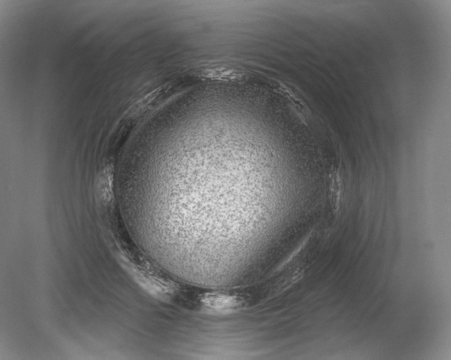X0000078870602200611271303