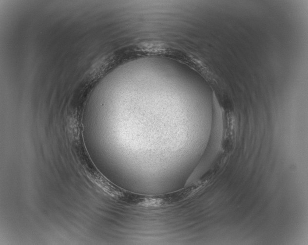 X0000078870609200611271303
