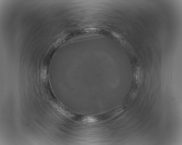 X0000078870610200611271303