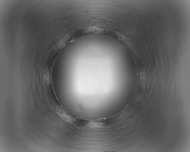 X0000078870617200611271302