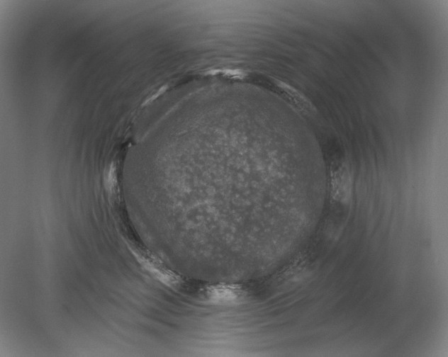 X0000078870618200611271302