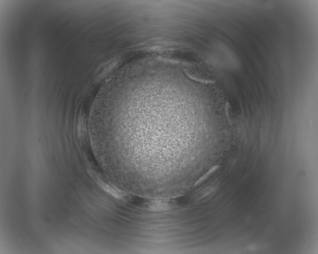 X0000078870623200611271302