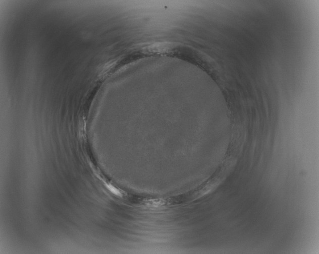 X0000078870624200611271302